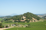 Elope to Wine Country
